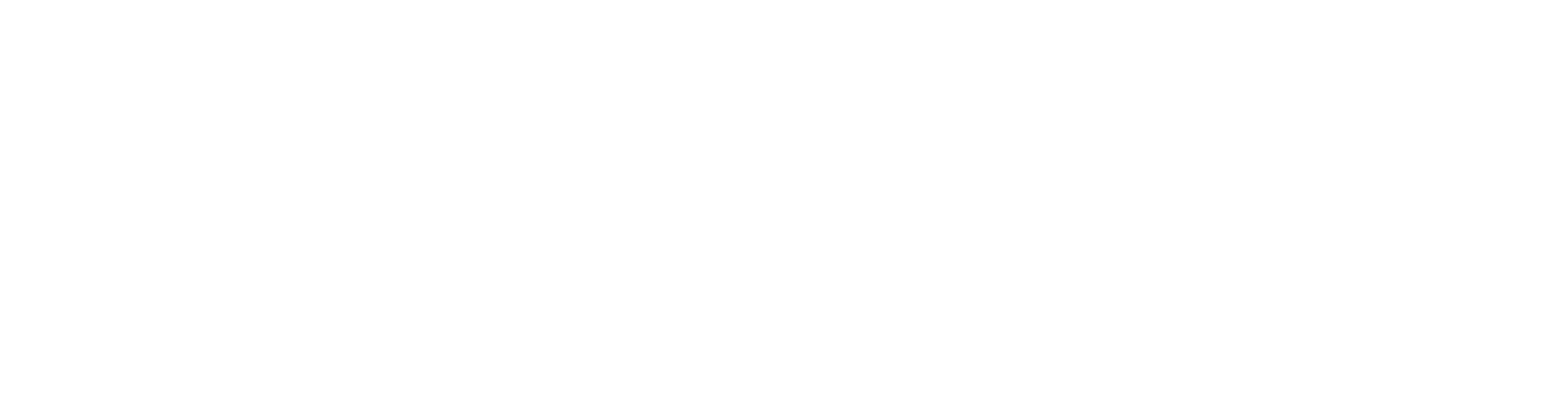 Development Dynamics